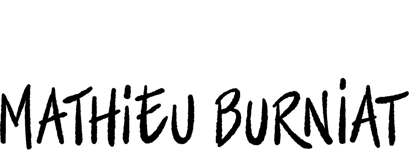 Auteur de Bandes Dessinées